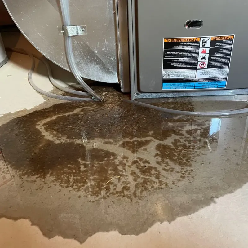 Pipe Burst and Leak Restoration in Hays, KS