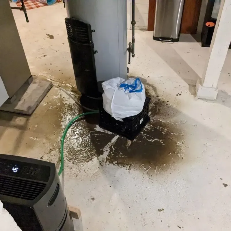 Sewage Backup Cleanup Service in Hays, KS